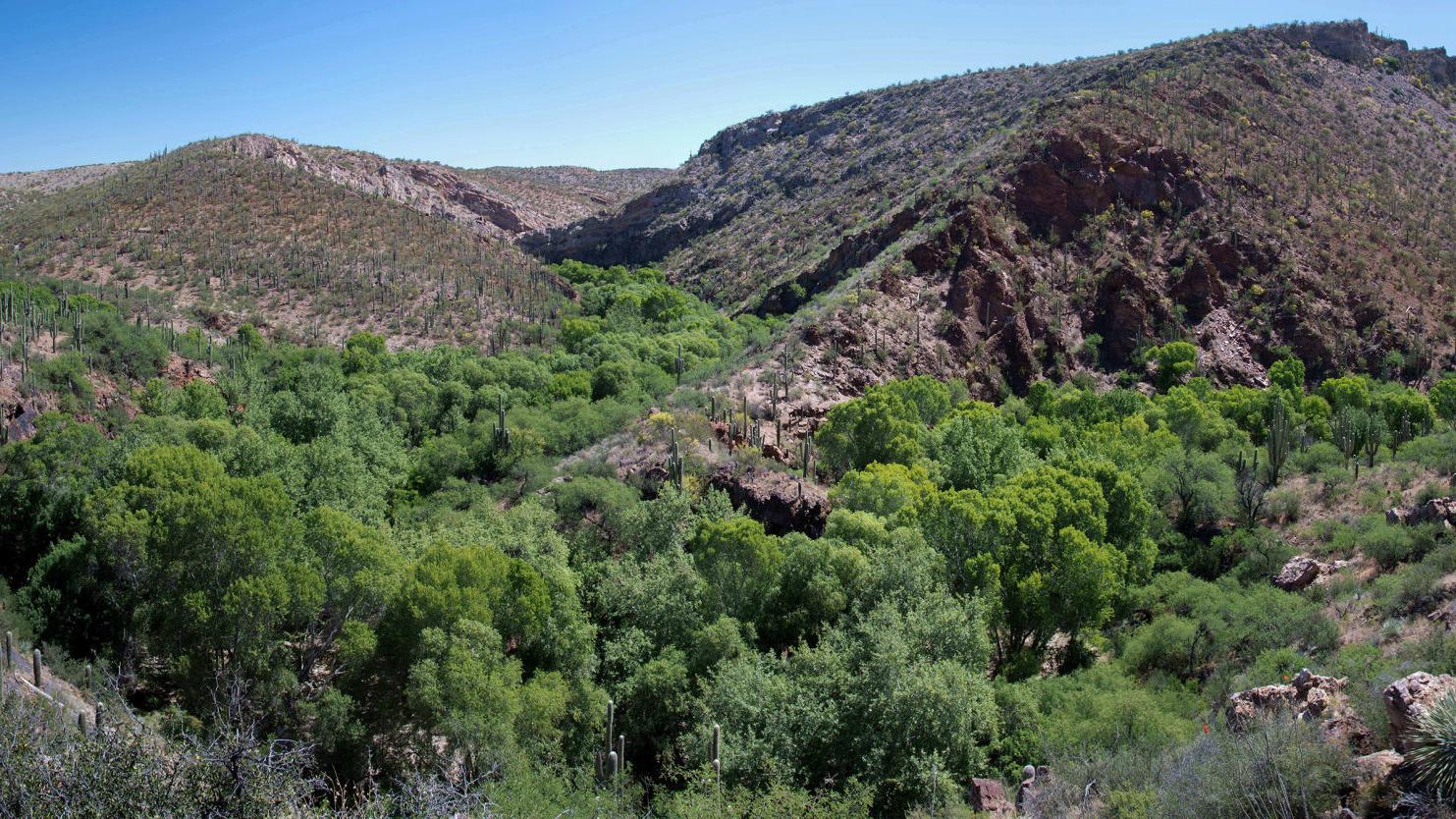 Pima County set to buy remote ranch for $1.55M to expand its park system